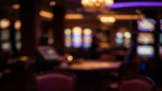 Radhe Exchange live dealer casino tables funded from the same wallet