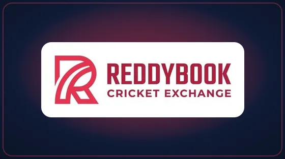 A beginner reading match odds and session numbers on a live cricket market in Reddybook